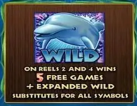 Dolphin Reef ฟีเจอร์โบนัสพิเศษ สัญลักษณ์ WILD