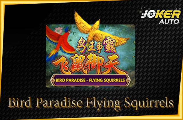 ทดลองเล่น Bird Paradise Flying Squirrels
