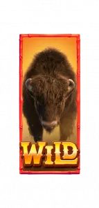 สัญลักษณ์ Wild Buffalo Win