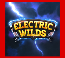 ทดลองเล่น Electric Wilds