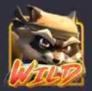 สัญลักษณ์ Wild Ninja Raccoon Frenzy