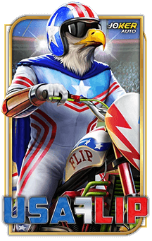 ลองเล่นเกม USA Flip