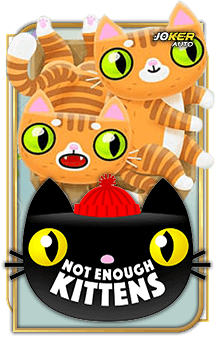 ลองเล่นเกม Not Enough